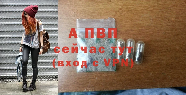 твердый Майский