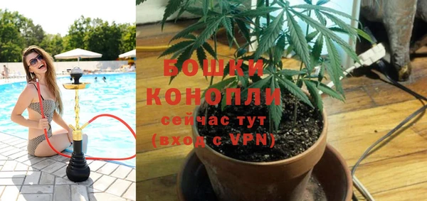 твердый Майский
