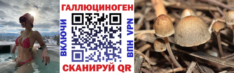 Галлюциногенные грибы GOLDEN TEACHER  Яхрома 